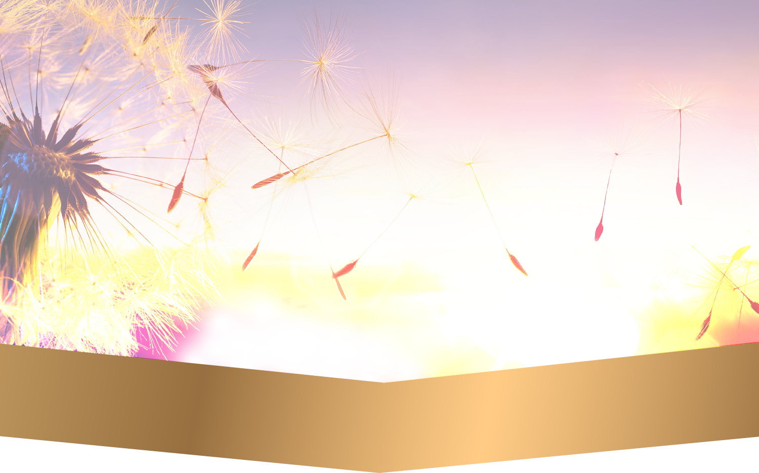 Home Clarity Catalyst